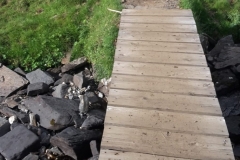 Jemini_1