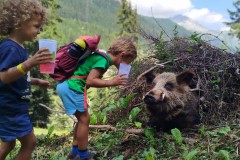 mangia_cammina_2024_1