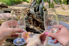 mangia_cammina_2024_3