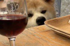 mangia_cammina_2024_40