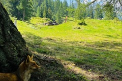 mangia_cammina_2024_54