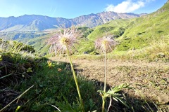 mangia_cammina_2024_62
