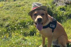 mangia_cammina_2025_25