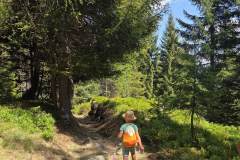 mangia_cammina_2025_26