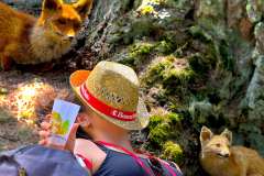 mangia_cammina_2025_33