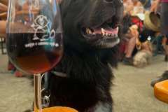 mangia_cammina_2025_46