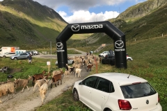 mangia_e_cammina_2018_52