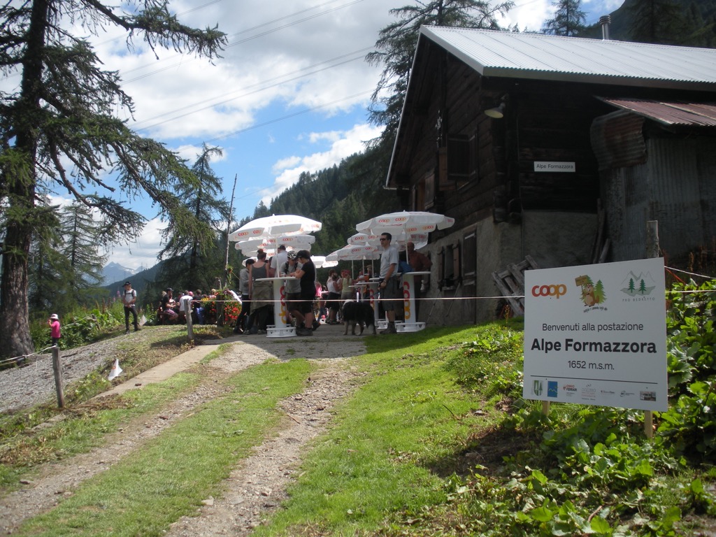 gallery_15