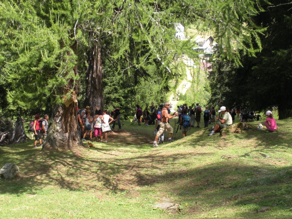 gallery_17