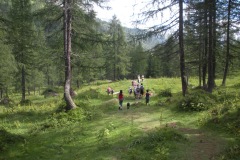 gallery_14