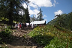 gallery_16