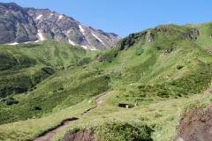 gallery_21