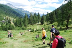 gallery_27