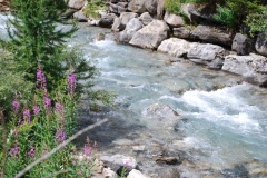 gallery_28